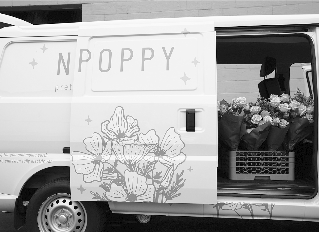 native poppy